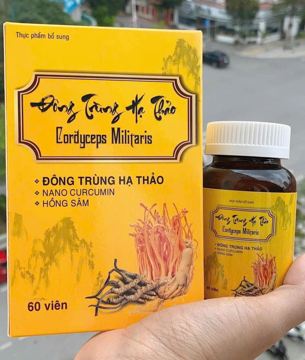 vien-uong-dong-trung-ha-thao-nano-curcumin
